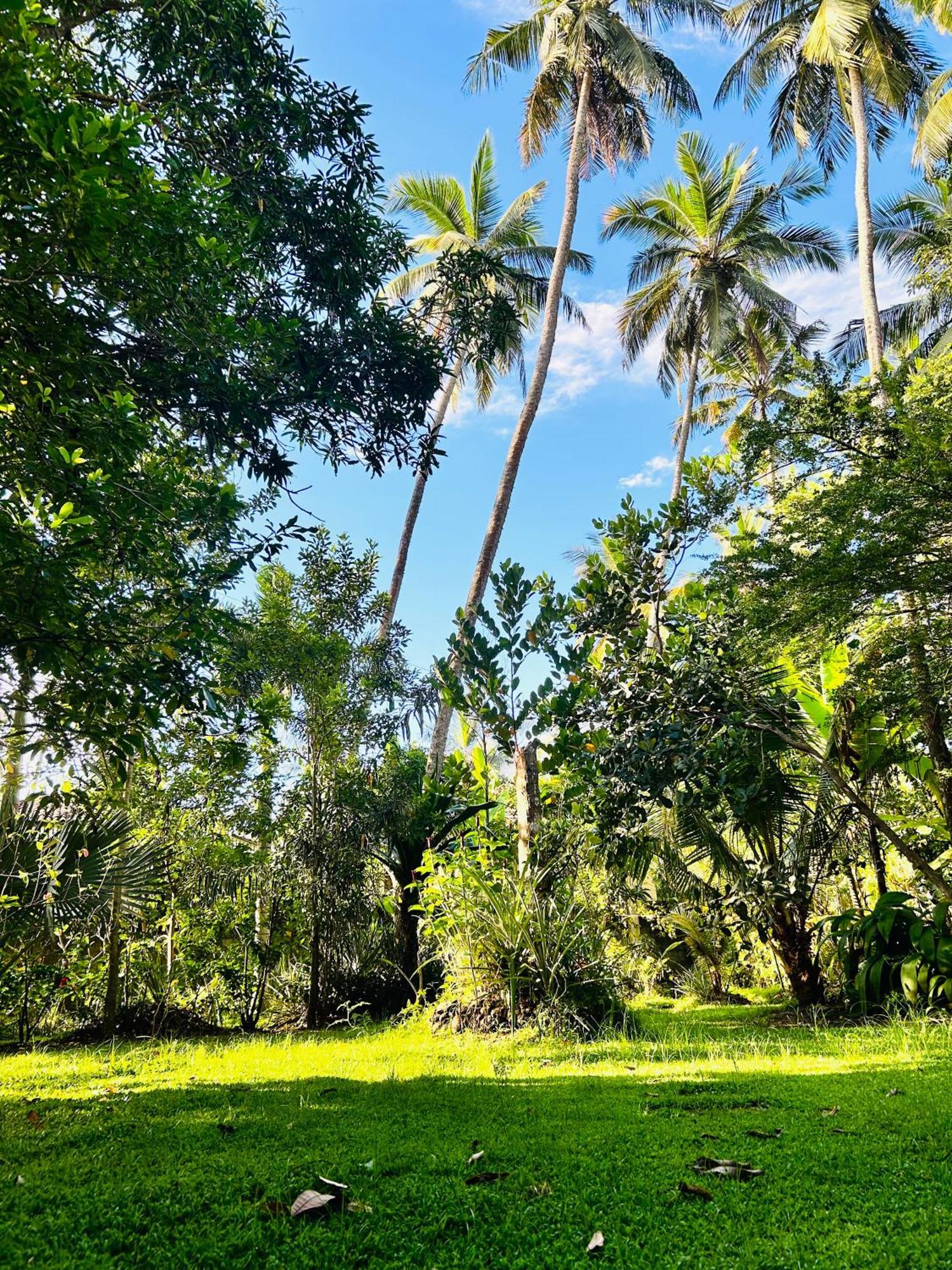 Shadow Surf Bay Hotel Tangalle Exterior photo